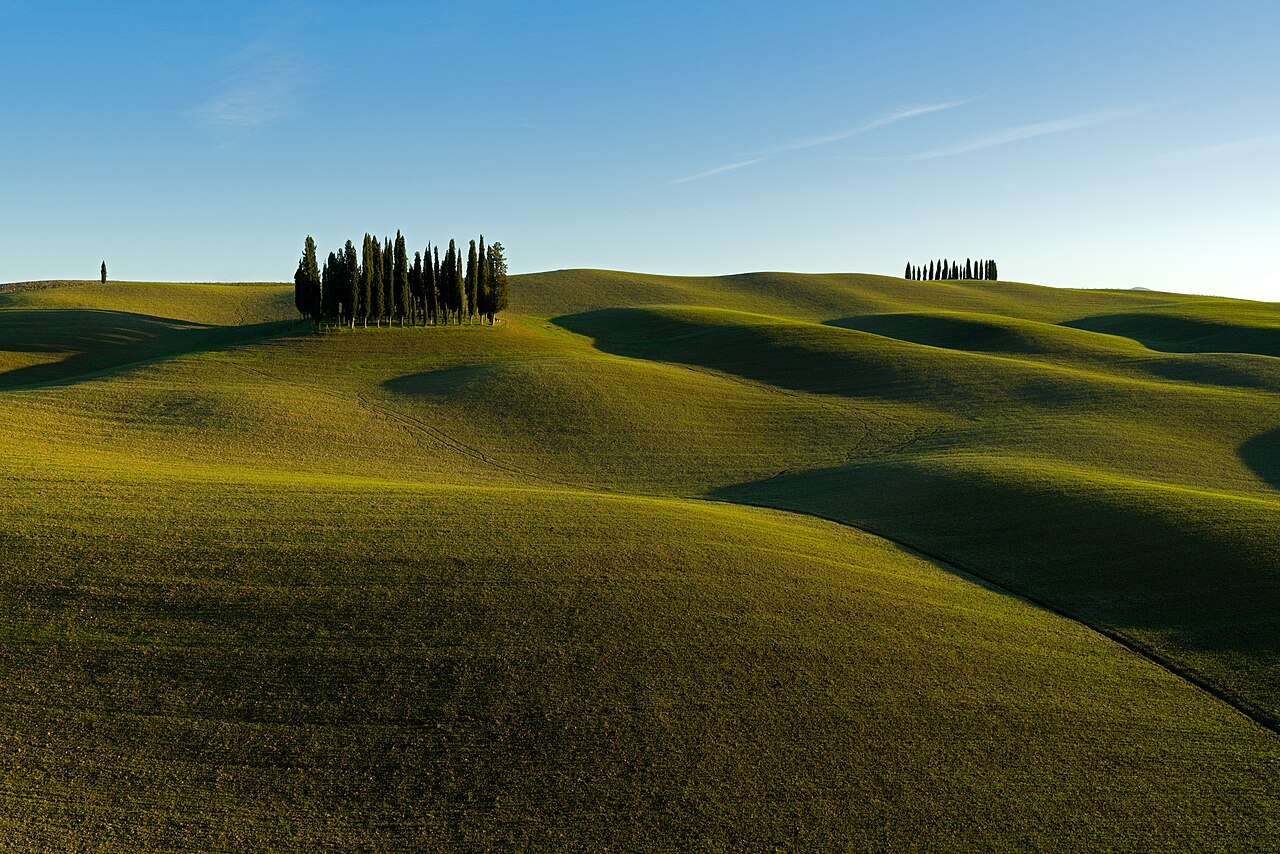 Cipressi di San Quirico d'Orcia. Photo by Gianluca Pirro (CC BY-SA 4.0)