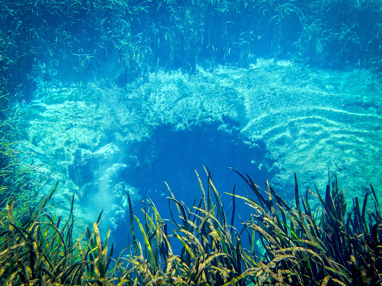 Ichetucknee Springs. Photo by Florida Guidebook (CC BY 2.0)