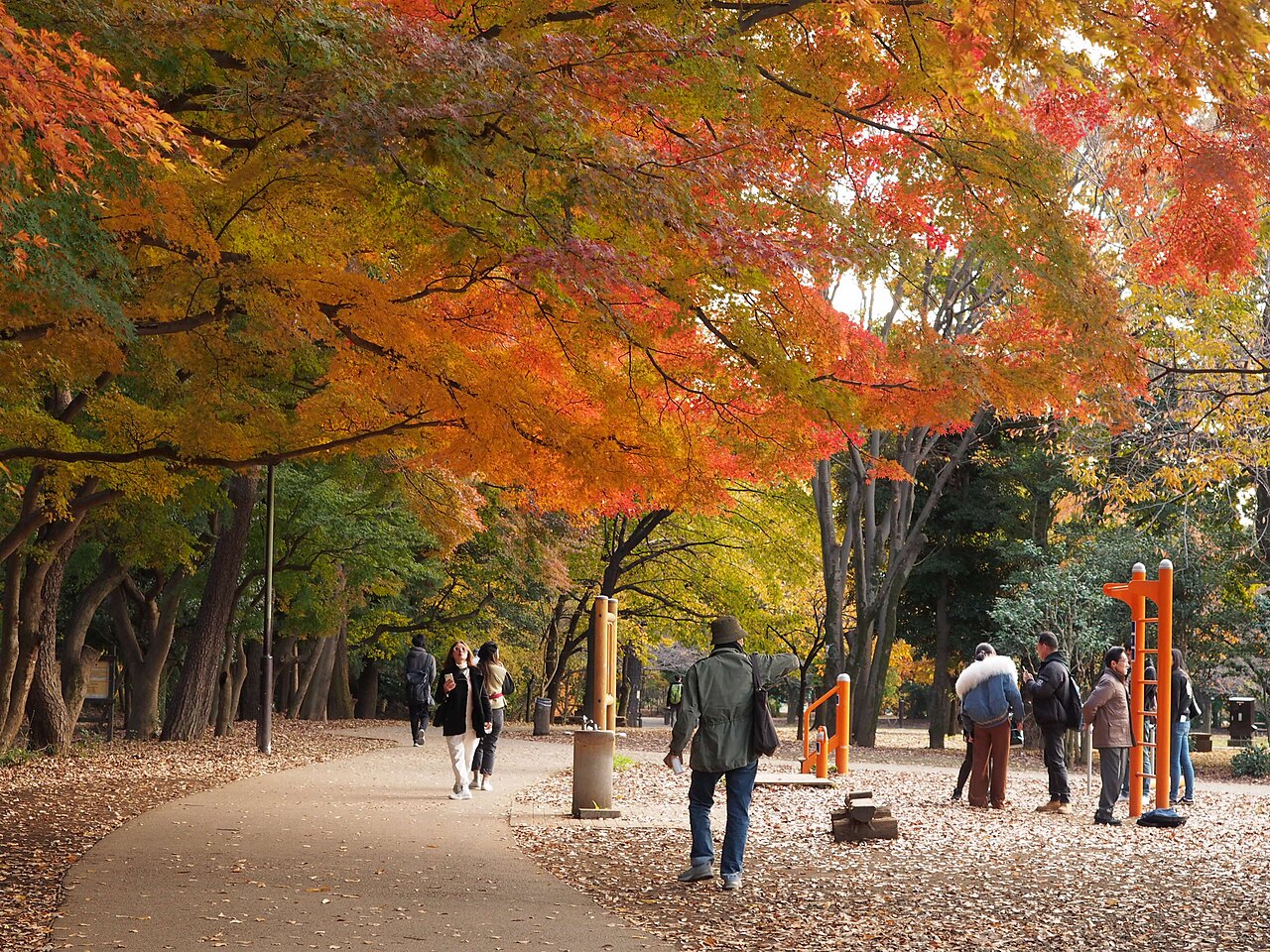 Inokashira Park. Photo by Kestrel (CC BY-SA 4.0)