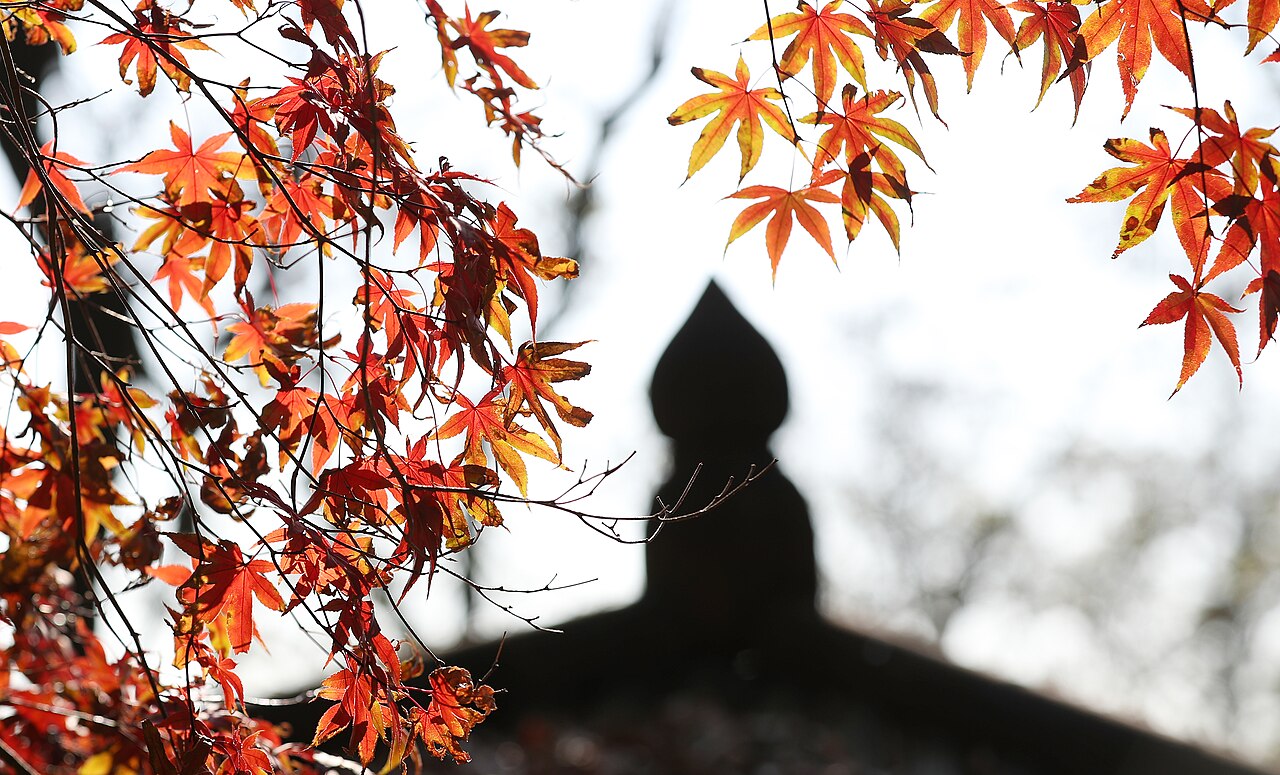 Inwangsan Mountain. Photo by Republic of Korea from Seoul, Republic of Korea (CC BY-SA 2.0)